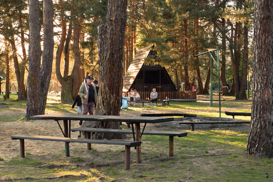 Ścieżki Leśne Radawa