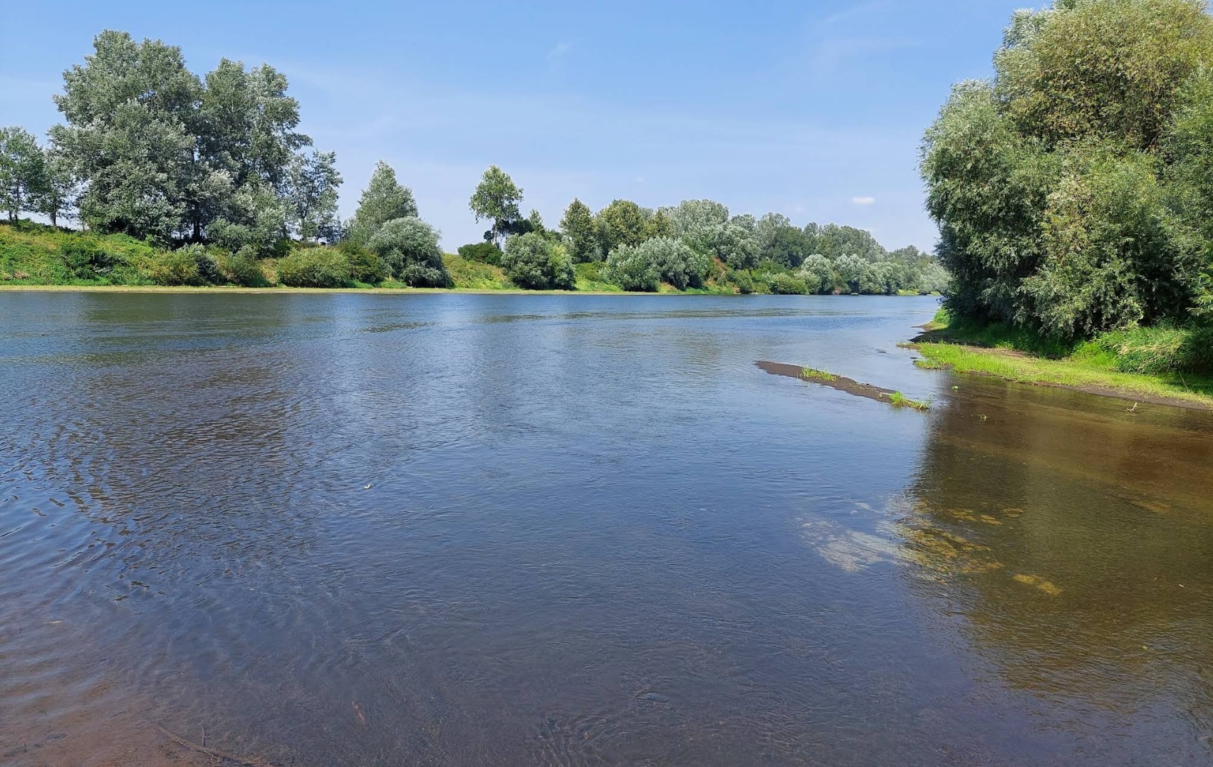 Ujście Lubaczówki do Sanu